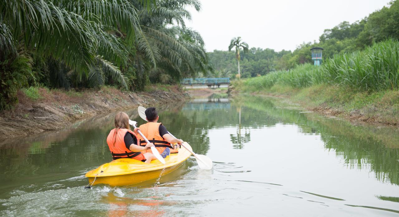 Sinar Eco Resort Kampong Bukit Panjang 외부 사진