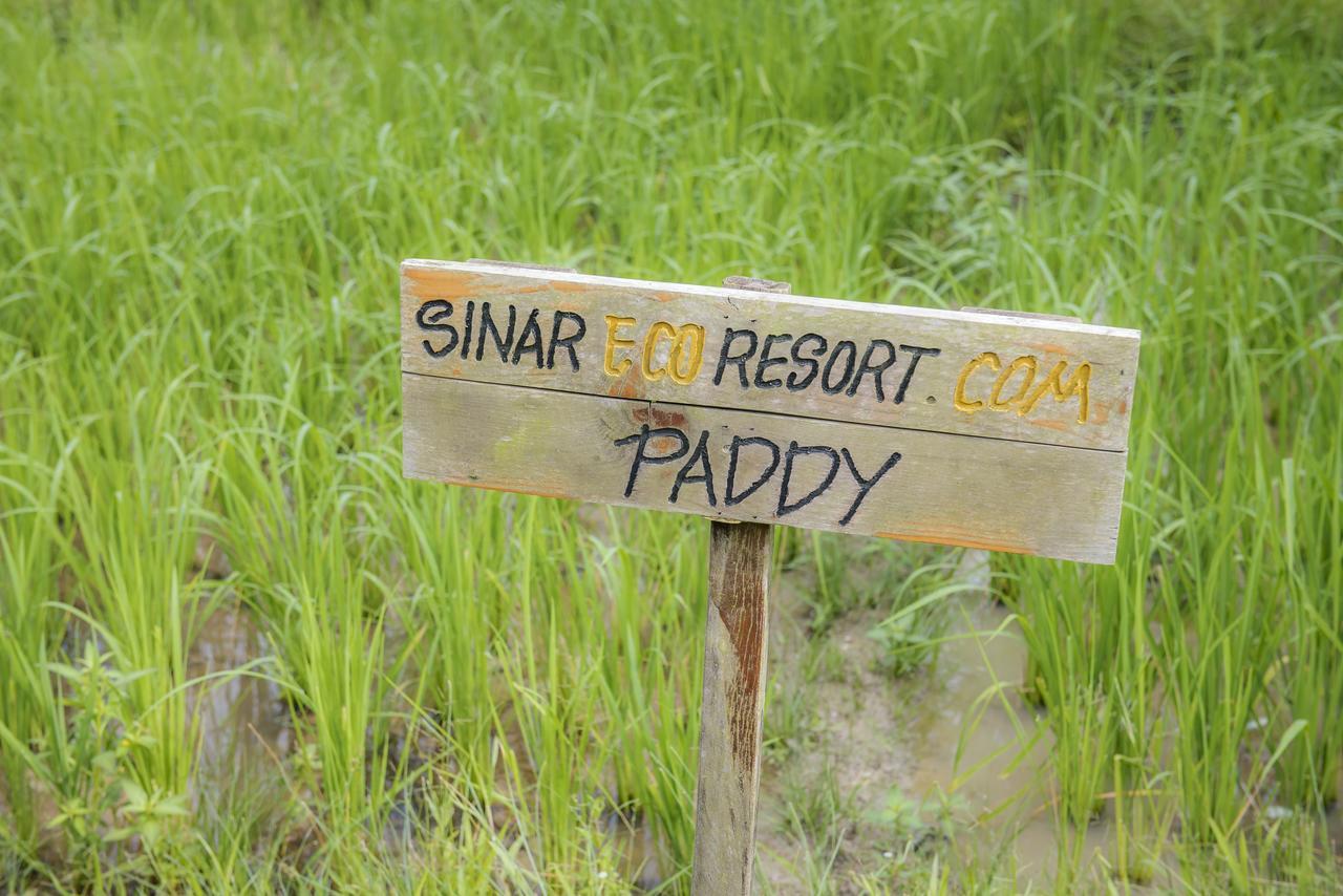 Sinar Eco Resort Kampong Bukit Panjang 외부 사진